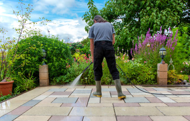 Best Animal Enclosure Cleaning  in Pasadena, MD