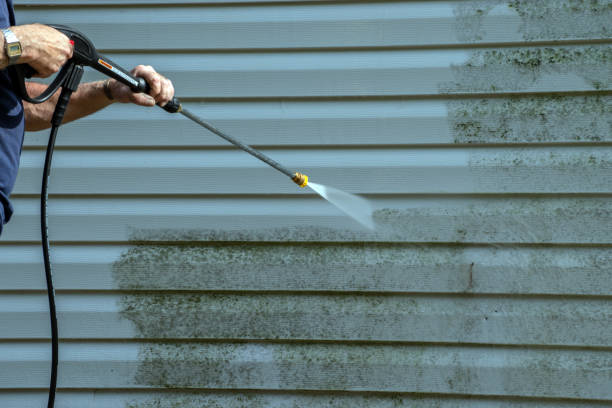 Best Patio and Deck Pressure Washing  in Pasadena, MD